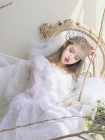 顾家的九小姐