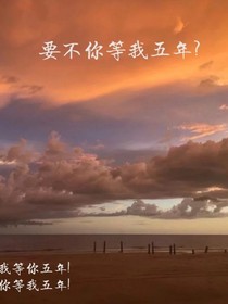 要不你等我五年？