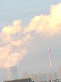 辛河八中