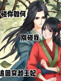 追回穿越王妃