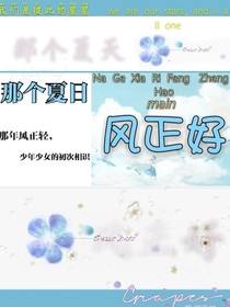 那年夏日风正好
