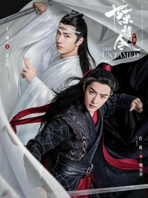 陈情令2之力挽狂澜