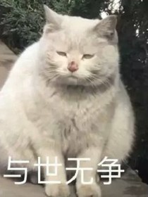 如何怼人