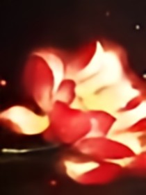 王爺?shù)膵赡坼?