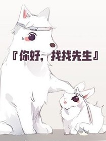 你好，找找先生