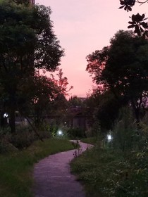 不想回到过去