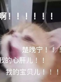 書名正在修改1597579606536738593