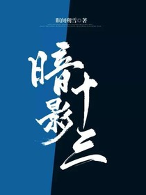 暗影十三
