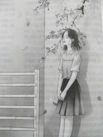 风把你吹到我怀里