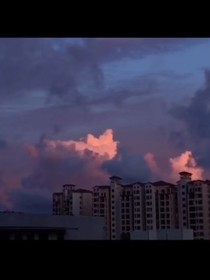 先婚后爱之娇妻宠入骨