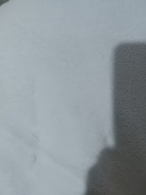 鬼444444