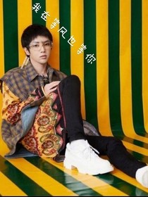王牌对王牌5——我在等风也等你