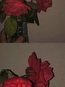 清风不知我爱你