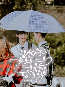 TNT：踏雪寻梅