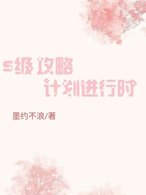 s级攻略