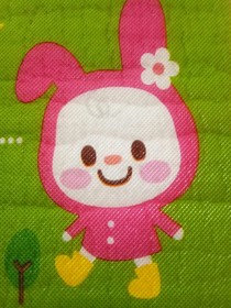 偶像光之美少女