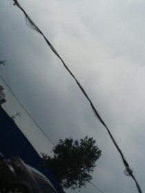 星學(xué)院之扎心番外