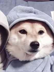 一千万的美梦