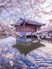 王默是金王妃