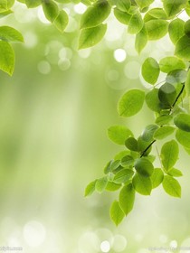 你好！橘子-d526