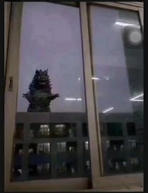 总裁太宠我之一胎14亿宝