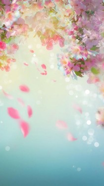 后宫心计深似海，后宫险恶