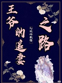 王爷的追妻之路