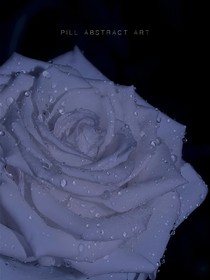 你的白巧