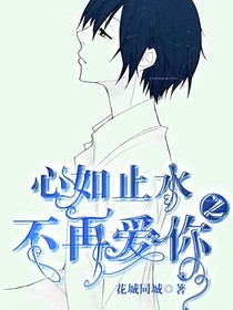 心如止水之不再爱你
