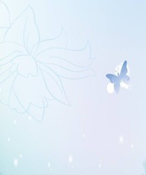 快穿之女配爱上我