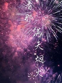 看那满天烟火