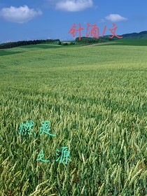 燃靈之源