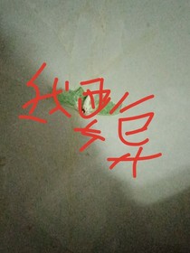 配角复仇