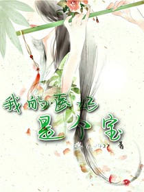 我的醫(yī)妃是個寶