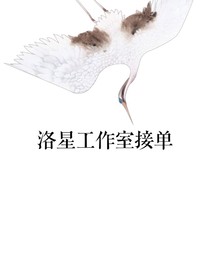 洛星工作室接单