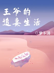 王爷的追妻生活