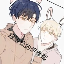 路边捡的萨摩耶