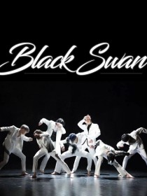 BTS：BlackSwan黑天鹅