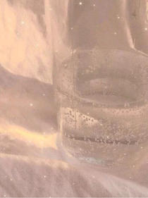 明星租我家房