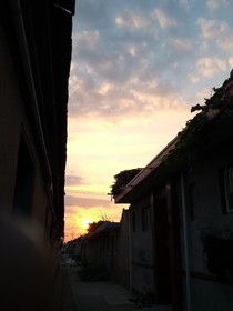 点点的遭遇