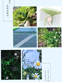 付之冬夏，有思于你
