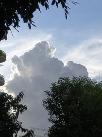 一元一次的恋爱
