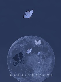 查理九世：隐笙残光