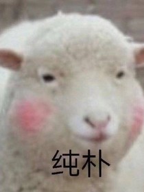 那一年，我娶了你