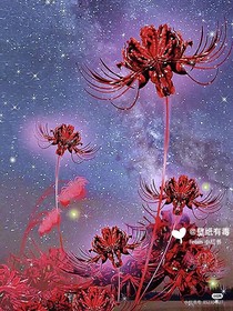探案之日常