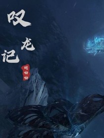 叹龙记