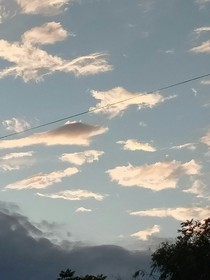 少爷弟弟