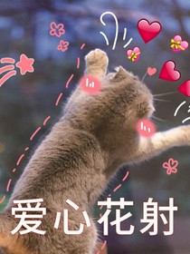 和田柾國(guó)戀愛的365天
