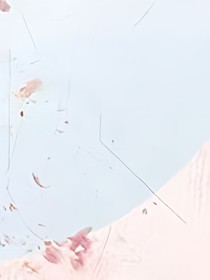 与君携手共白首
