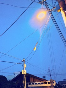 劉耀文：戀戀風(fēng)塵-d686